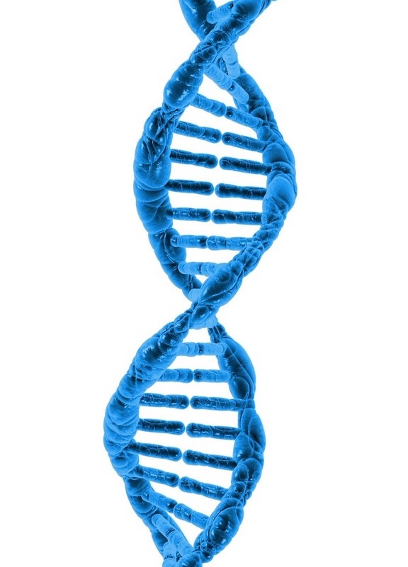 Test del DNA salute, sport e dieta - Natgreen